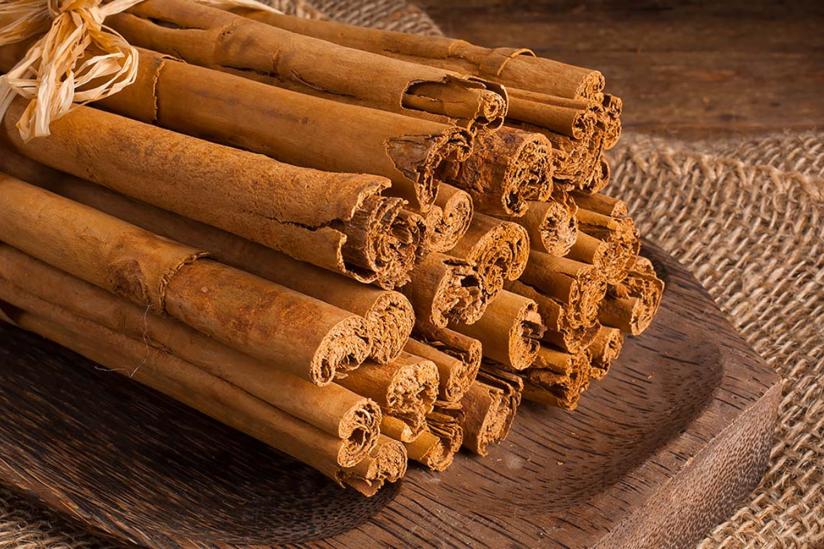 Cinnamomum cassia