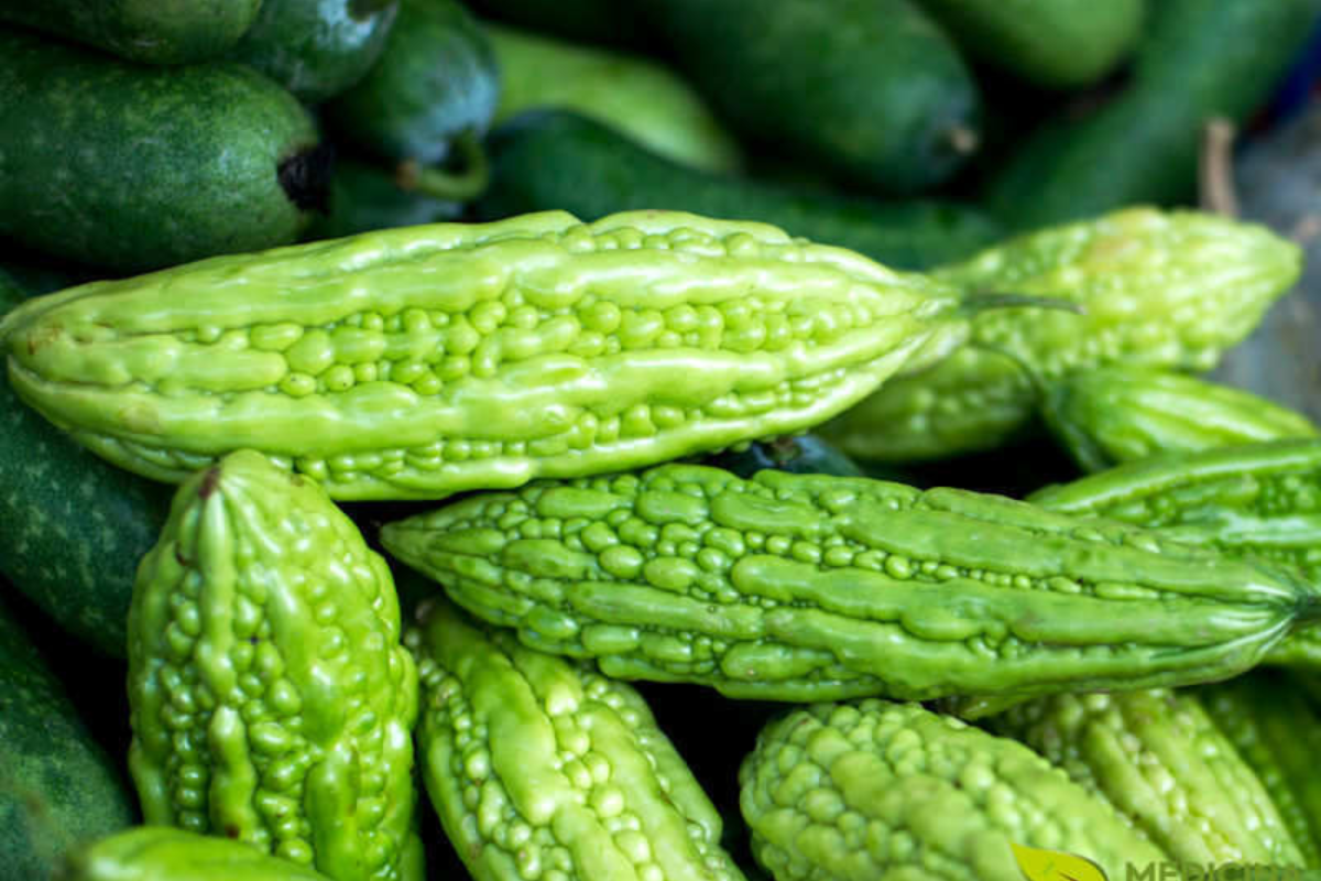 Mormordica charantia